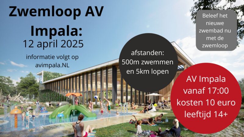 Zwemloop Impala 2024